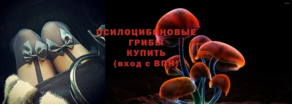 PSILOCYBIN Тавда