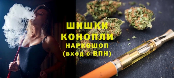 гидра Корсаков