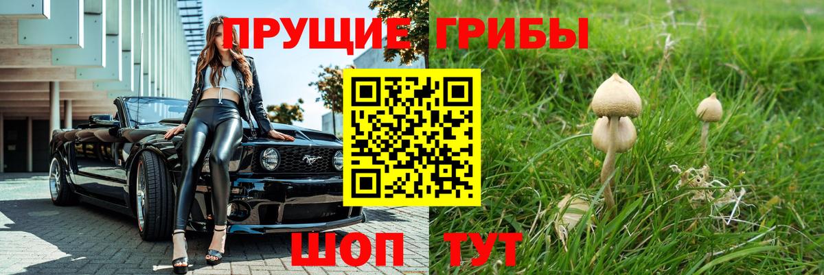 Псилоцибиновые грибы прущие грибы  Вход с VPN  Углич  Галлюциногенные грибы MAGIC MUSHROOMS 